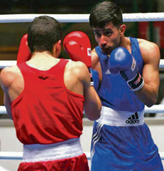 GOLD: The bantamweight fighter clinched Gold in Finland and Macedonia recently with two stellar performances