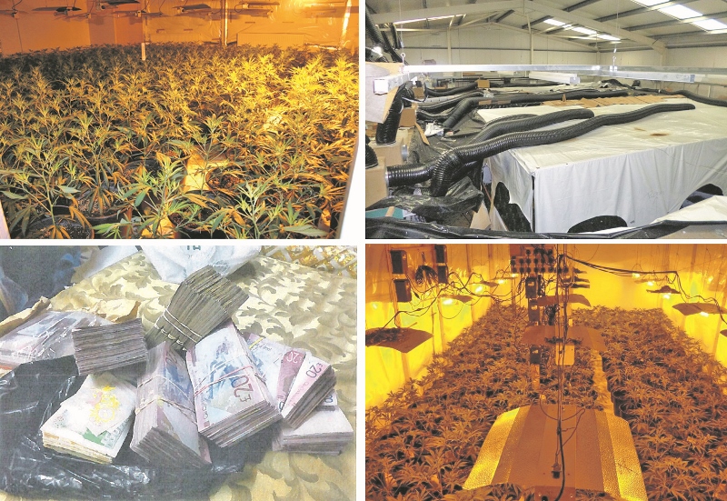 ILLEGAL: Evidence of the Saund’s activities were presented in front of Birmingham Crown Court including images of cannabis farms and giant wads of cash