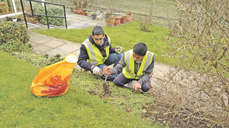 PLANTS: The youths gave up their own time during half-term last week to take part in the latest project