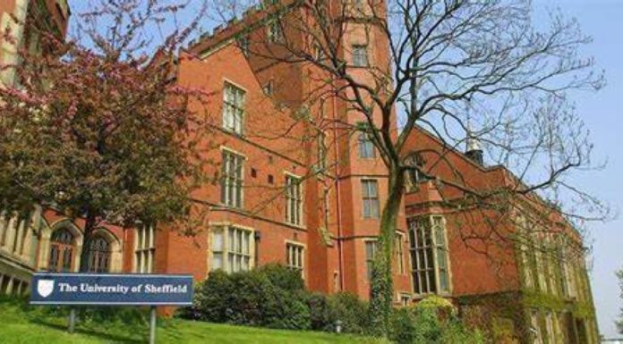 University of Sheffield ranked within world’s top 60 for social sciences