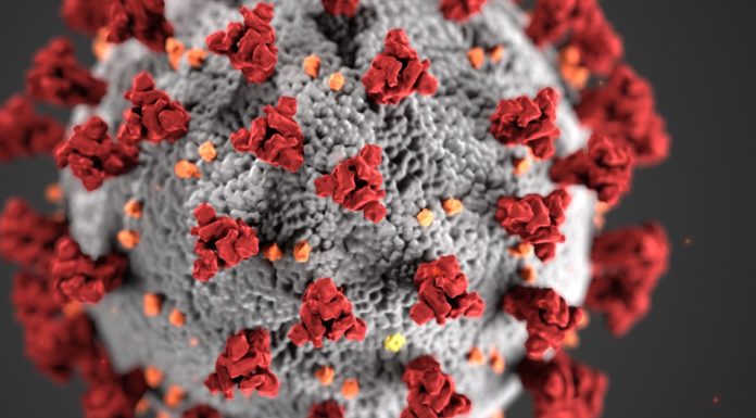 Coronavirus has mutated 30 times with deadlier strain infecting Europe