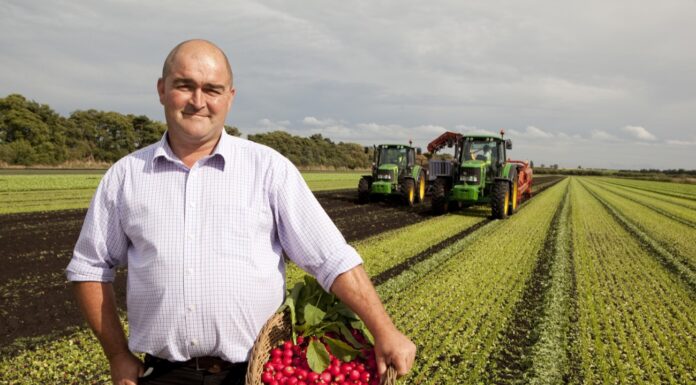 Supporting local produce and helping farms in your area
