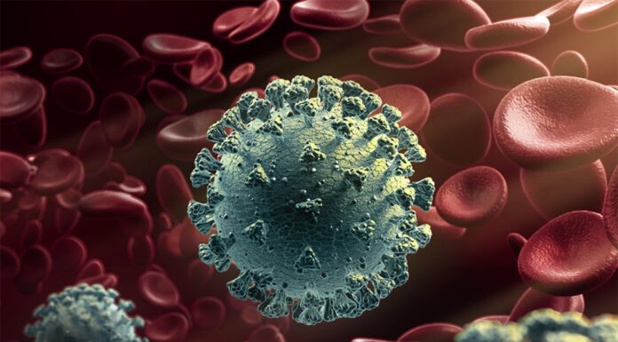 New, more infectious strain of Covid-19 now dominates globally