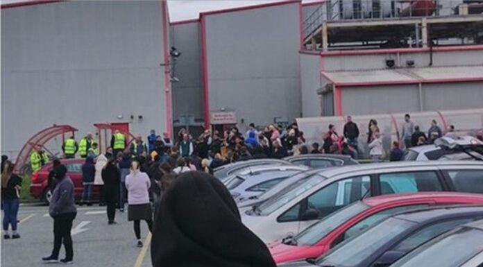 “We begged for it to be shut down’ say coronavirus-hit food factory staff