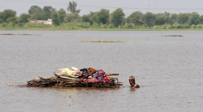 Pakistan floods: Dengue fever and malaria cases soaring after record monsoon