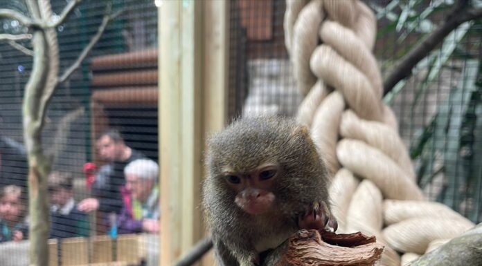 CHEEKY: Tropical World in Leeds gets exciting makeover