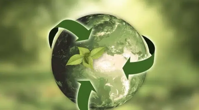 Squeezed councils’ contribution to Net Zero goal at risk as public support wanes