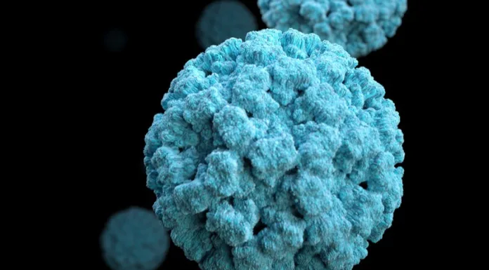 Hundreds in hospitals with Norovirus