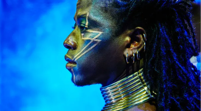 Afrique en Cirque – a colourful experience like you’ve never seen before