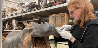 Move over night life – Leeds’ museums scene proved stronger – and more popular – than ever!