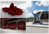 Anish Kapoor debuts major new installations at the Southbank Centre’s Hayward Gallery